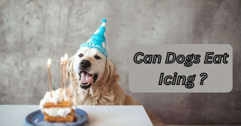 Can Dogs Eat Icing