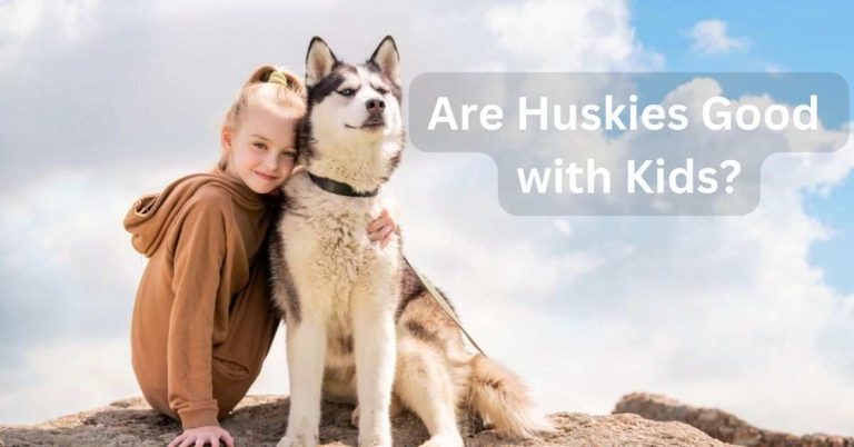 Are Huskies Good with Kids
