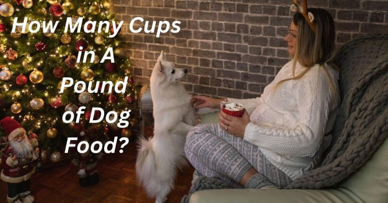 How Many Cups in A Pound of Dog Food