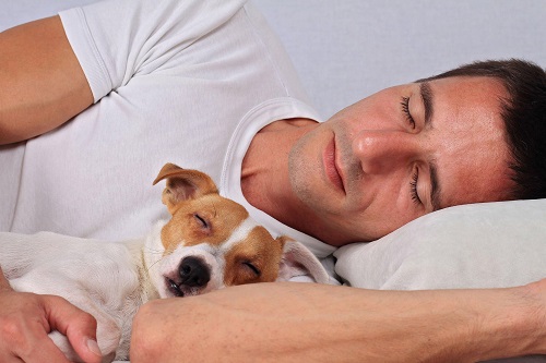Why Do Dogs Press Against You when They Sleep?