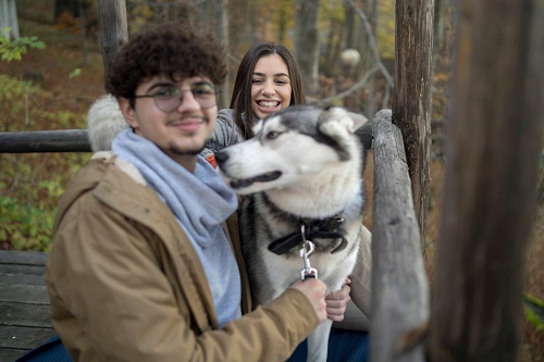 Are Huskies Friendly With Strangers?